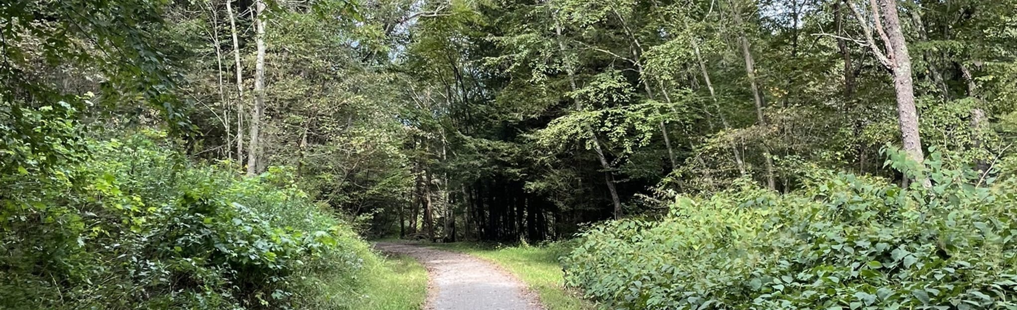 ButlerFreeport Trail North to South, Pennsylvania 103 Reviews, Map