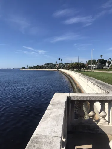 are dogs allowed at tampa bay walking bridge