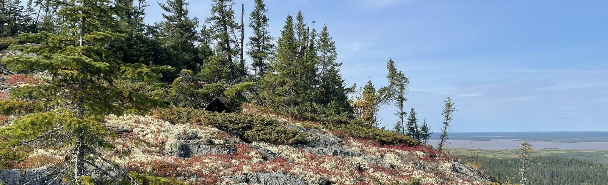 Boucle du Mont Laurier, Quebec, Canada 21 Reviews, Map AllTrails