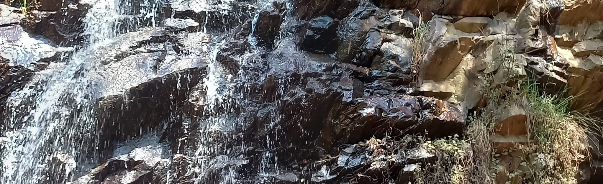 Sterkfontein Heritage Trail 4 - EyJidWNrZXQiOiJhc3NldHMuYWxsdHJhaWxzLmNvbSIsImtleSI6InVwbG9hZHMvcGhvdG8vaW1hZ2UvNDA5MjA0MTQvYjY1MjBlYjcyOWEyNjkyMjk0NzQ1OWMzOWQwZWZhOTYuanBnIiwiZWRpdHMiOnsidG9Gb3JtYXQiOiJqcGVnIiwicmVzaXplIjp7IndpZHRoIjoyMDQ0LCJoZWlnaHQiOjYyNCwiZml0IjoiY292ZXIifSwicm90YXRlIjpudWxsLCJqcGVnIjp7InRyZWxsaXNRdWFudGlzYXRpb24iOnRydWUsIm92ZXJzaG9vdERlcmluZ2luZyI6dHJ1ZSwib3B0aW1pc2VTY2FucyI6dHJ1ZSwicXVhbnRpc2F0aW9uVGFibGUiOjN9fX0=