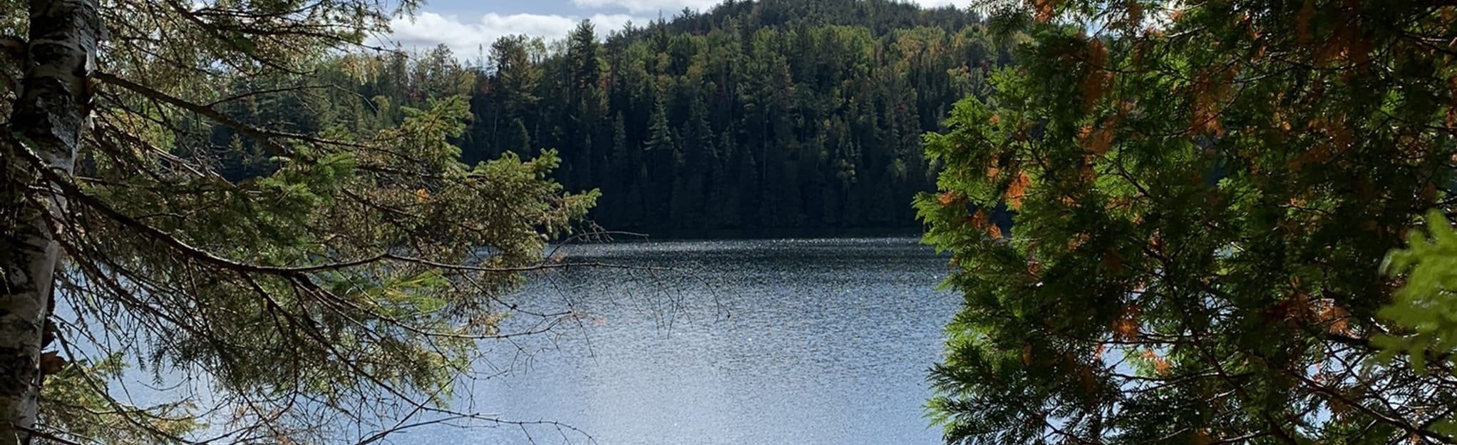 Contreforts Trail, Quebec, Canada - 371 Reviews, Map | AllTrails