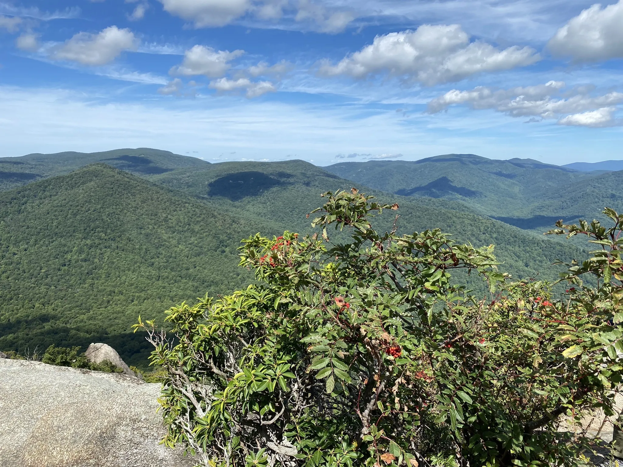 Old Rag Mountain Loop