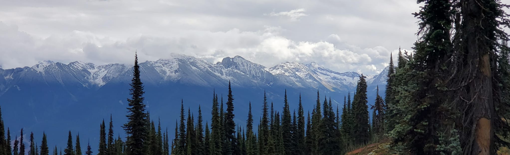 Inspiration Woods Trail 142 Reviews, Map British Columbia, Canada