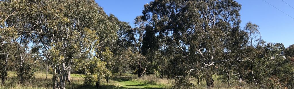 are dogs allowed at bundoora park