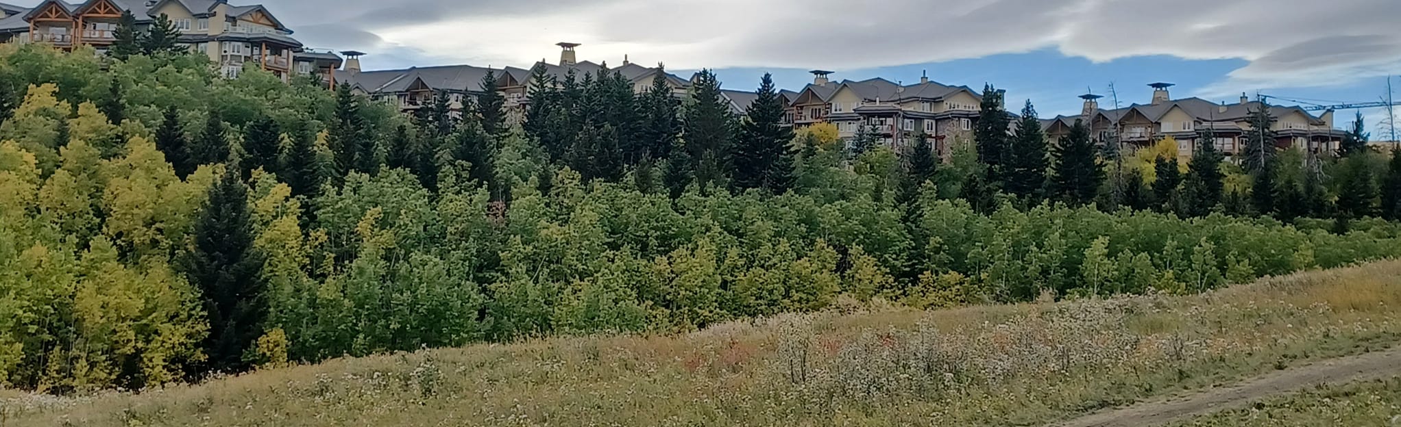 Fish Creek Provincial Park Outer Loop East 478 foto's Alberta