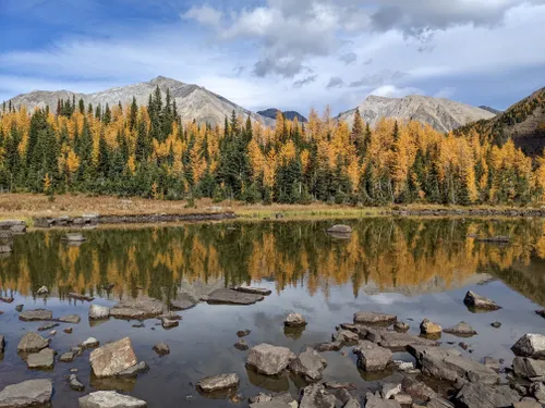 10 Best Hikes and Trails in Peter Lougheed Provincial Park | AllTrails