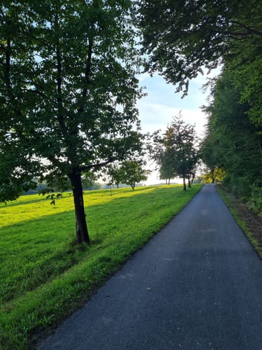 Rückersbach nach Molkenberg