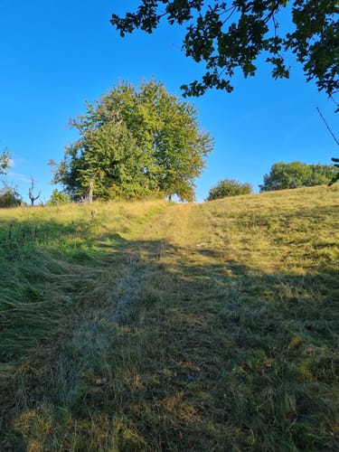 Rückersbach nach Molkenberg