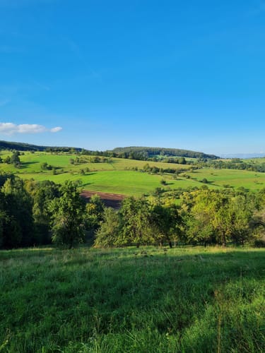 Rückersbach nach Molkenberg