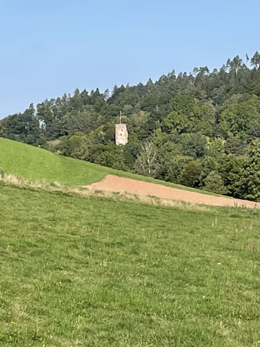 Schlossbrunnenweg (Premiumspazierwanderweg)