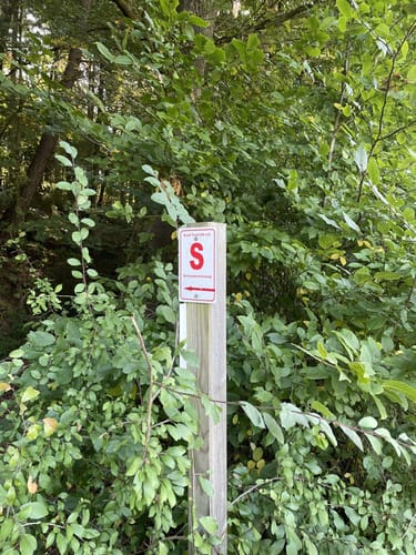 Schlossbrunnenweg (Premiumspazierwanderweg)