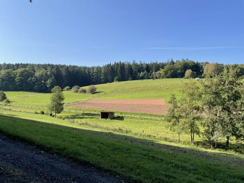 Schlossbrunnenweg (Premiumspazierwanderweg)