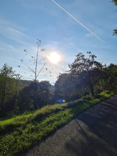 Rückersbach nach Molkenberg