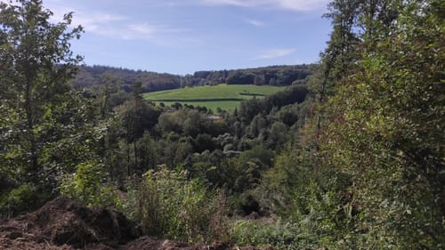 Lüttershausen - Rankenhohn - Hensberg