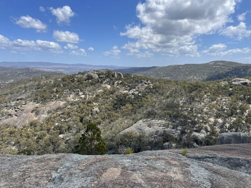 Best Hikes and Trails in Kirrama National Park AllTrails