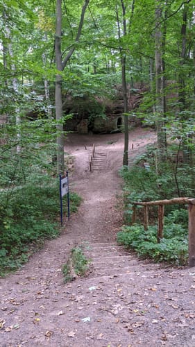 Über Hardelsberg und  Spechtsberg zur Huysburg
