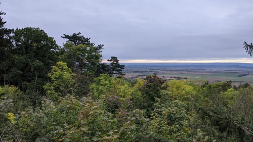 Über Hardelsberg und  Spechtsberg zur Huysburg