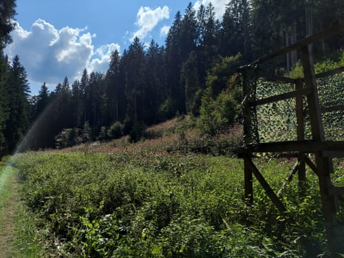 Sauerlach - Holzkirchen