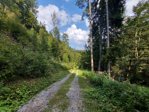 Sauerlach - Holzkirchen