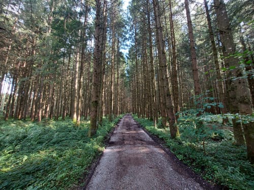 Sauerlach - Holzkirchen