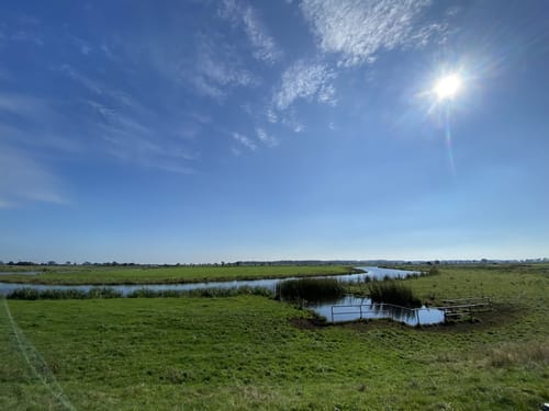 Wildes Moor bei Schwabstedt