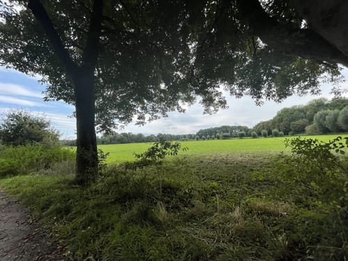 Hülser Bruch: Pottbäckerwanderweg