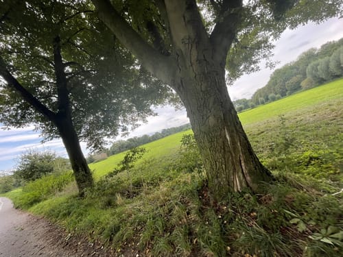 Hülser Bruch: Pottbäckerwanderweg