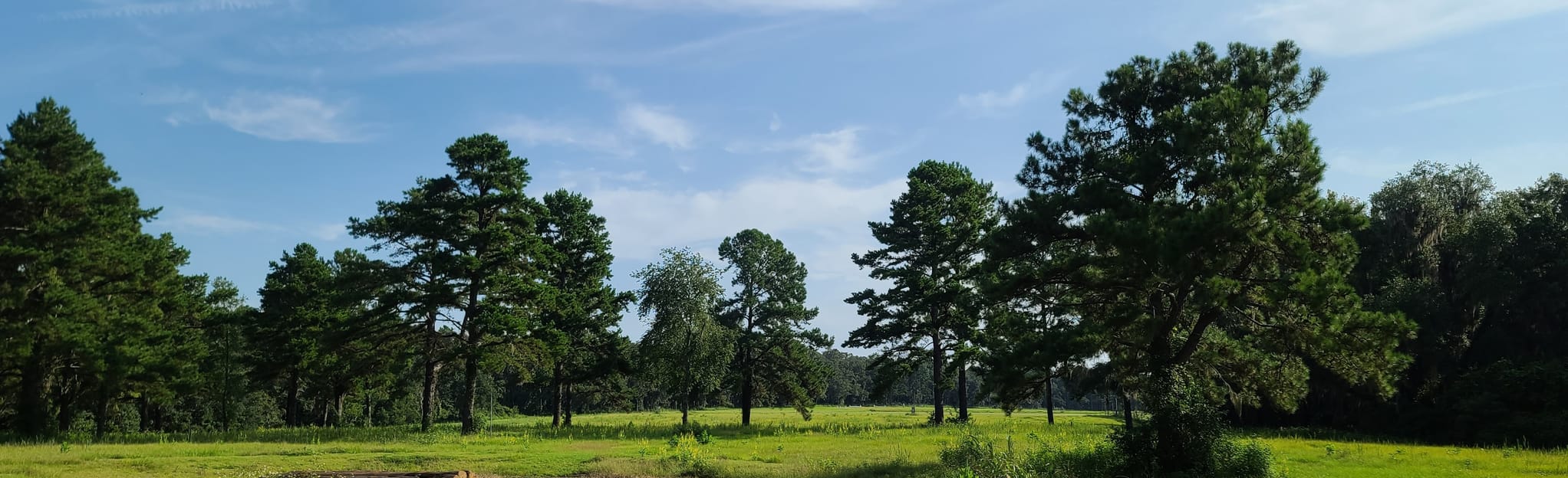 Oak Hammock Loop Trail 192 Reviews, Map Florida AllTrails