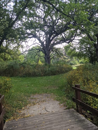 Best hikes and trails in Wonder Lake | AllTrails