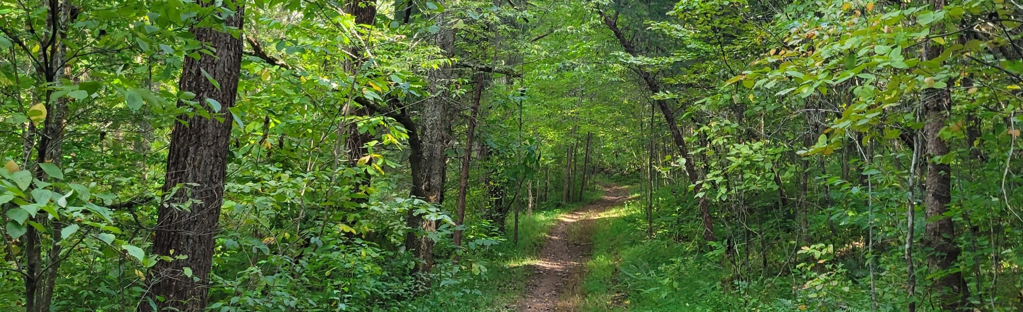 Fluvanna Heritage Trail, Virginia 244 Reviews, Map AllTrails