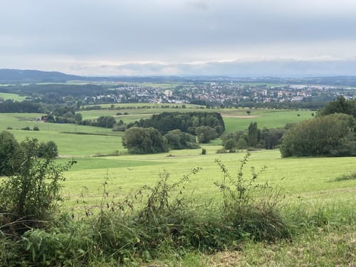 Klippeneck-Steig (Premiumwanderweg)