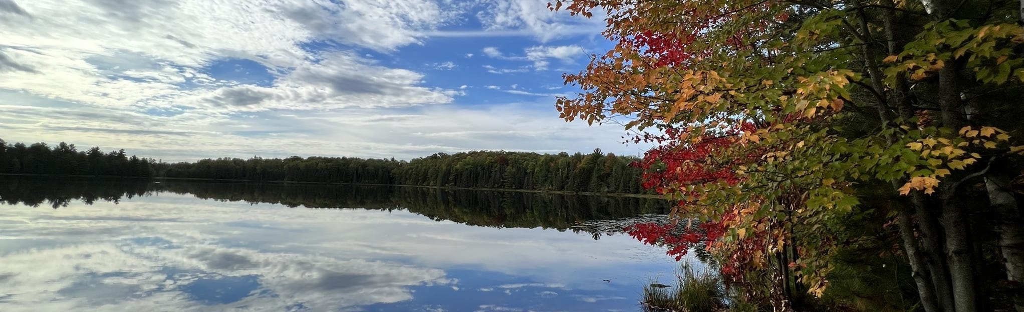 Shannon Lake Trail Mapa, Roteiro Wisconsin AllTrails