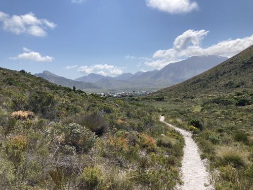 Photos of Brodie Link Trail Western Cape South Africa AllTrails