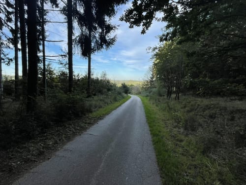 Weg des Gedenkens [CLOSED]