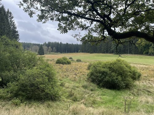 Weg des Gedenkens [CLOSED]
