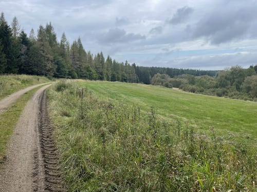 Weg des Gedenkens [CLOSED]