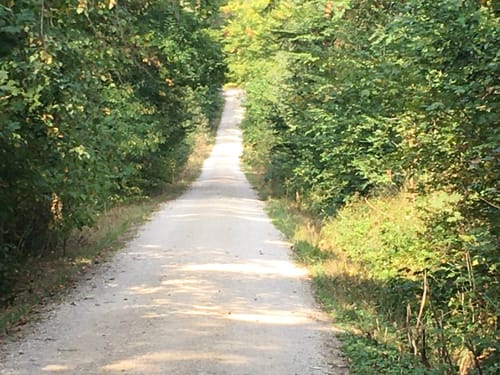 Weiher - Neunkirchen- Willersdorf - Baiersdorf