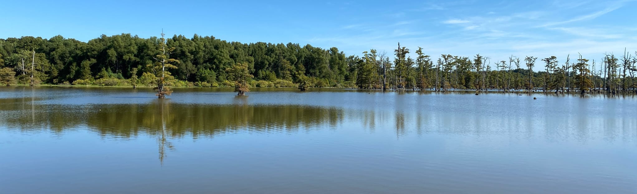 Horseshoe Lake Island Trail 26 photos Illinois AllTrails