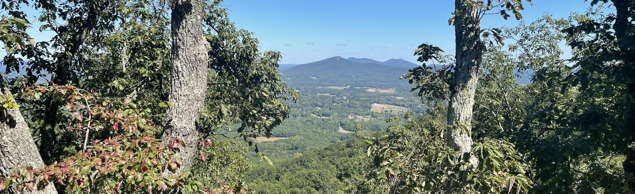 Pilot Mountain Summit Road 3 Reviews, Map North Carolina AllTrails