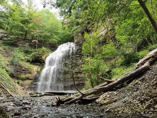 置物 Valley Waterfall 10 Best waterfall trails in Dundas Valley Conservation Area