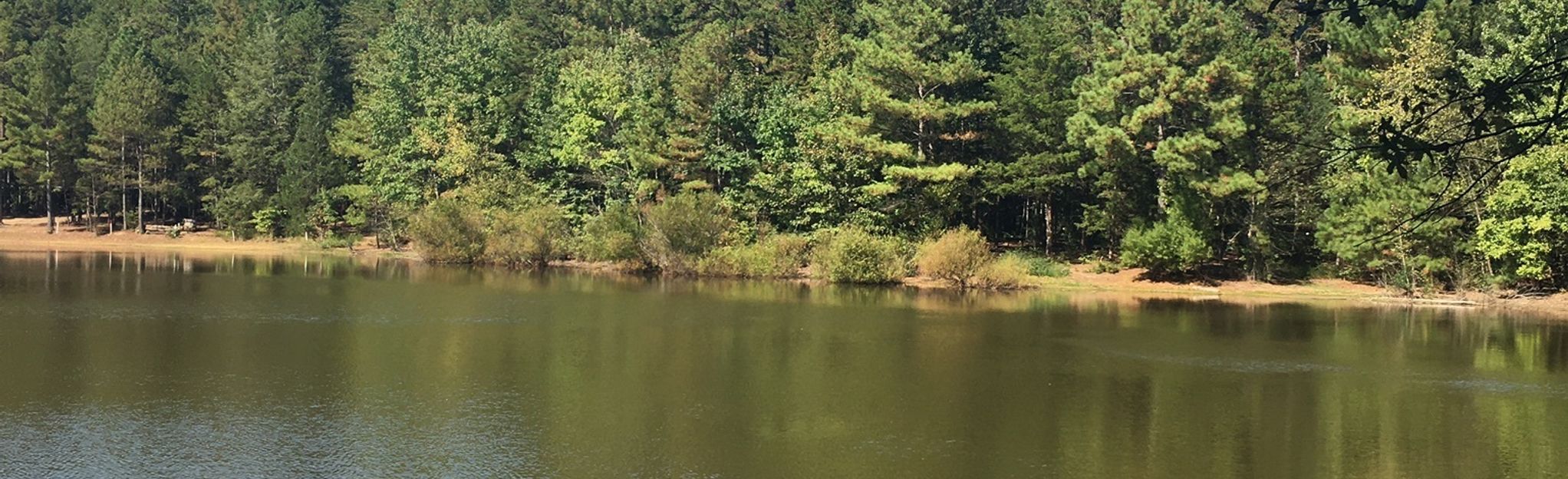 Idlewild Road Park Nature Walk, North Carolina 108 Reviews, Map