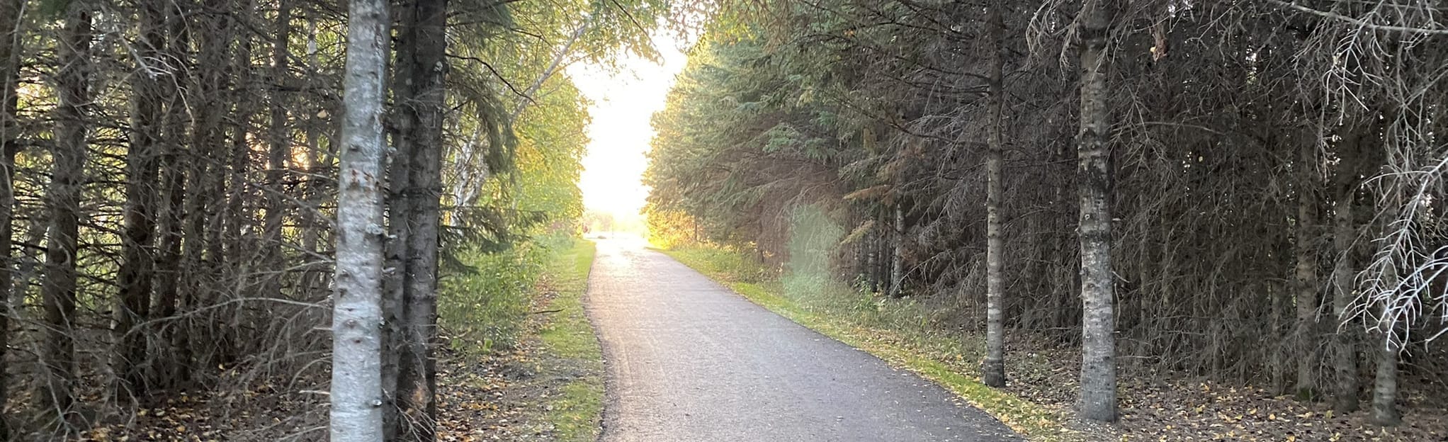 Tetrault Park, Manitoba, Canada 31 Reviews, Map AllTrails