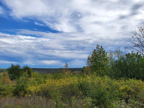 Best 10 Hikes and Trails in Kettle - EyJidWNrZXQiOiJhc3NldHMuYWxsdHJhaWxzLmNvbSIsImtleSI6InVwbG9hZHMvcGhvdG8vaW1hZ2UvNDA5OTYzMzkvZWM4ZTM0MWM5MGY0YzE2MmQ4MTY1YzBiZThjNzdkNDUuanBnIiwiZWRpdHMiOnsidG9Gb3JtYXQiOiJqcGVnIiwicmVzaXplIjp7IndpZHRoIjo1MDAsImhlaWdodCI6NTAwLCJmaXQiOiJpbnNpZGUifSwicm90YXRlIjpudWxsLCJqcGVnIjp7InRyZWxsaXNRdWFudGlzYXRpb24iOnRydWUsIm92ZXJzaG9vdERlcmluZ2luZyI6dHJ1ZSwib3B0aW1pc2VTY2FucyI6dHJ1ZSwicXVhbnRpc2F0aW9uVGFibGUiOjN9fX0=