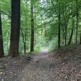 Avalon Loop Trail, Maryland - 231 Reviews, Map | AllTrails