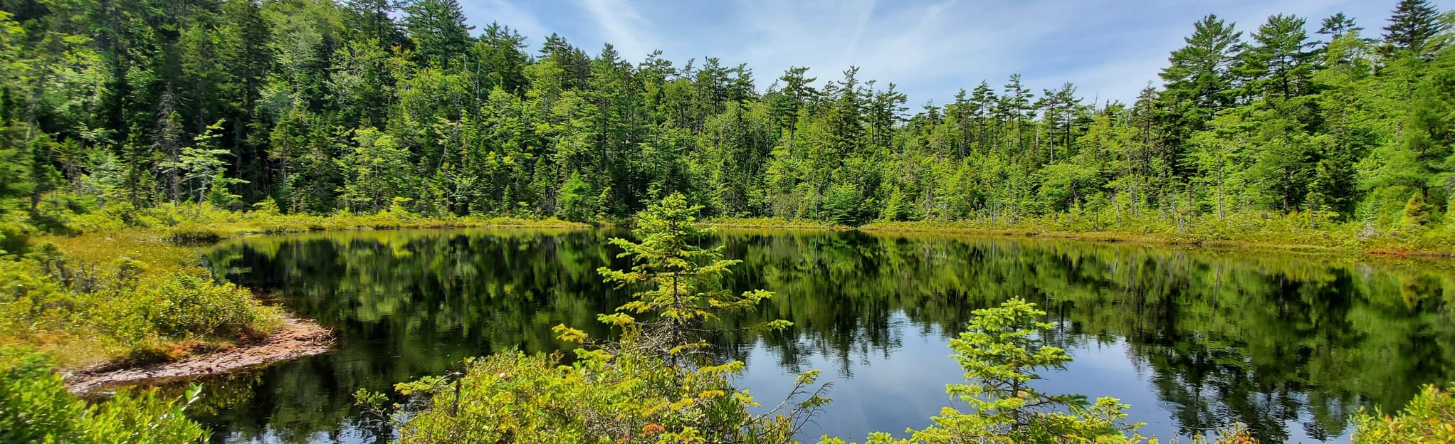 Porter's Lake Loop, Nova Scotia, Canada 125 Reviews, Map AllTrails