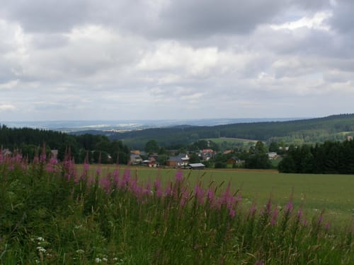 Sportwanderung Rechts und links der Göltzsch