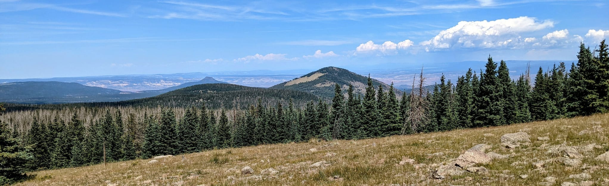 Mountain, New Mexico 21 Reviews, Map AllTrails