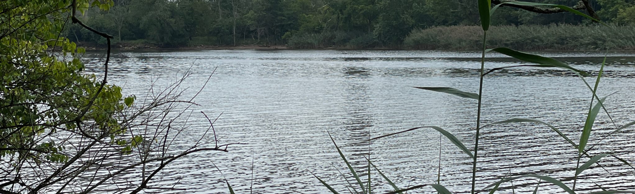 The Meadows 26 Reviews, Map New Jersey AllTrails