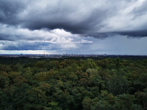 Grunewald: Drachenberg - Teufelsberg