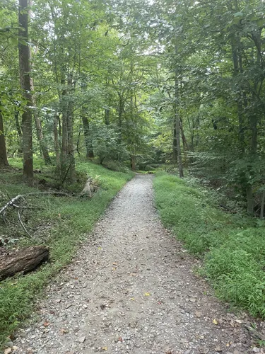 Patapsco mtb online trails